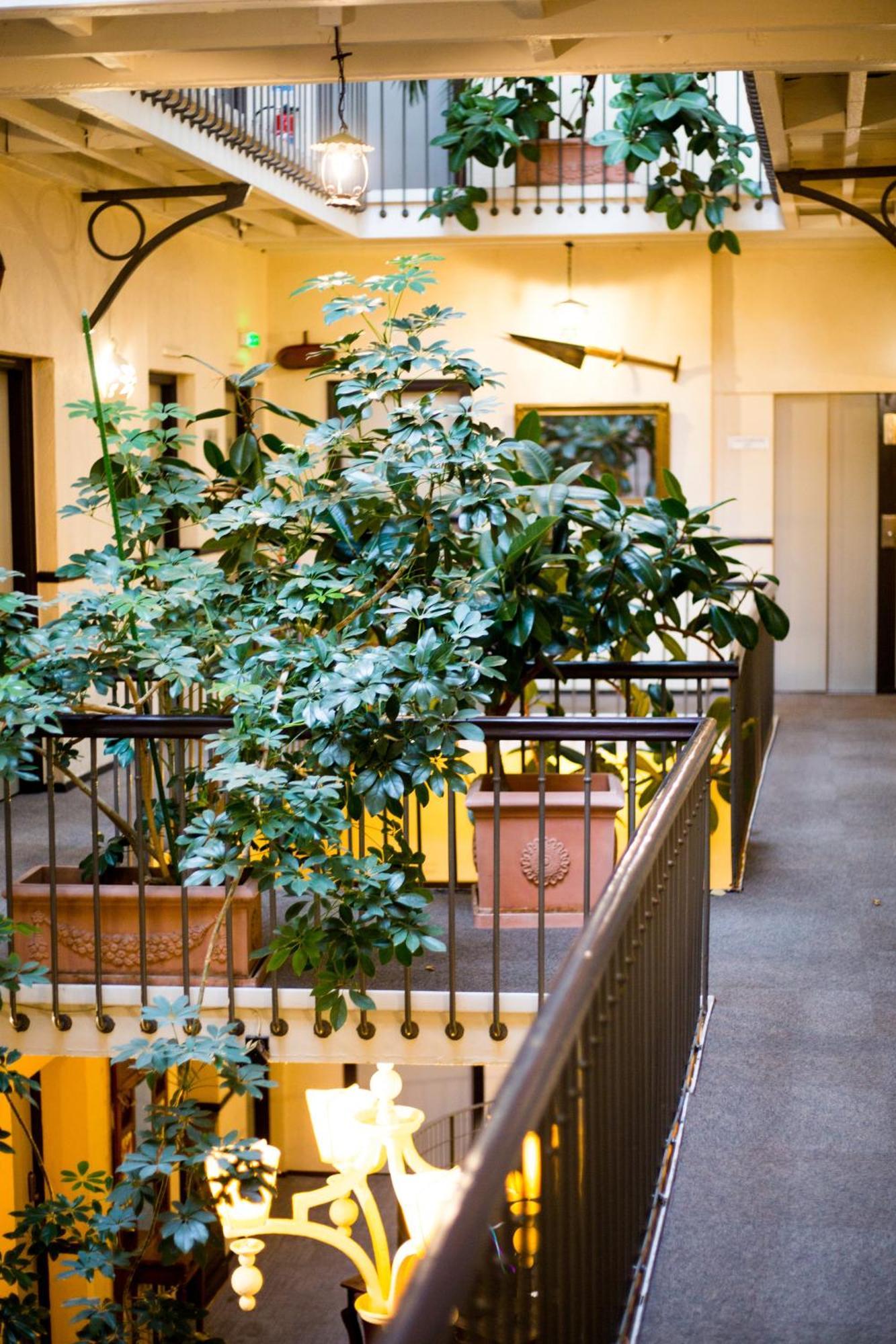 Grand Hotel D'Orleans Toulouse Dış mekan fotoğraf